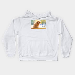 Poodle Puppy Digital Painting Kids Hoodie